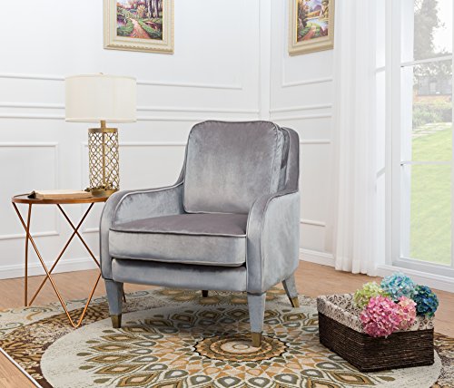 Iconic Home Tzivia Accent Club Chair Sleek Elegant Velvet Upholstered Plush Cushion Seat Metal Trim, Modern Transitional, Grey